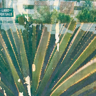 artwork collage mixed media mojave desert palm springs plants city california